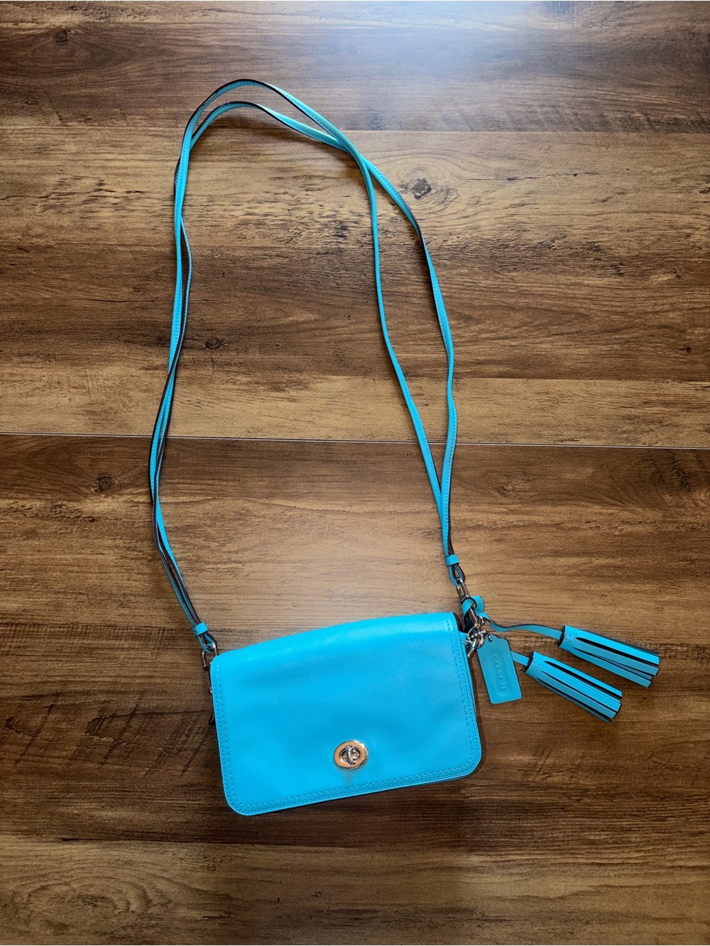 RARE Authentic Coach Dinky Crossbody Bag Robin Blue Leather Turnlock 19914